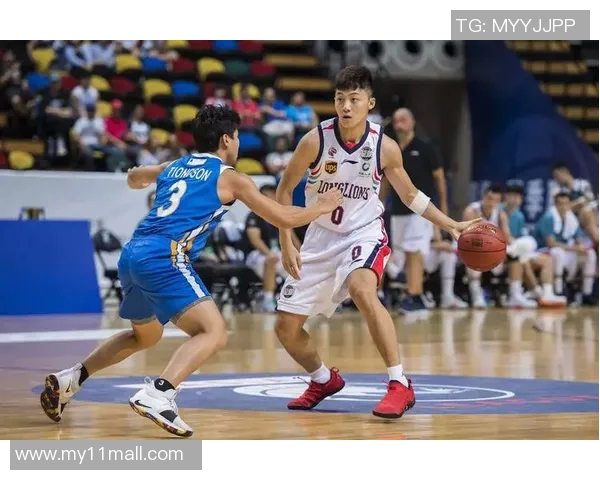 广州篮球队荣登全国篮球比赛经验排行榜第十名的背后故事与启示